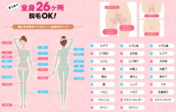 レイビス　全身脱毛範囲