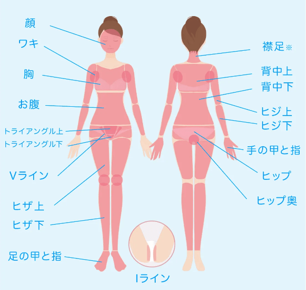 ミュゼ全身