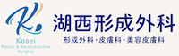 湖西形成外科 ロゴ