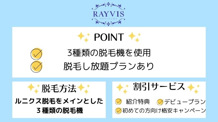 レイビスおすすめポイント